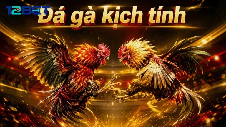 Hiểu Đúng Điểm Dừng: Kinh Nghiệm Giữ Kỷ Luật Phiên Đá Gà 12BET